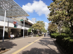 DSC00415