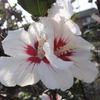 DSC00546