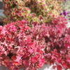 DSC00566