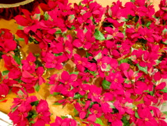 DSC00671