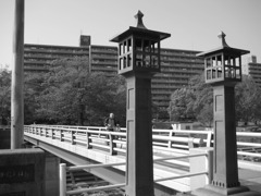 IMG_0059_1