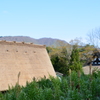 白川郷