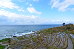 能登　白米の千枚田