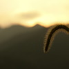 P7240502