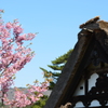 白川郷