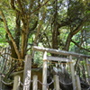 真名井神社