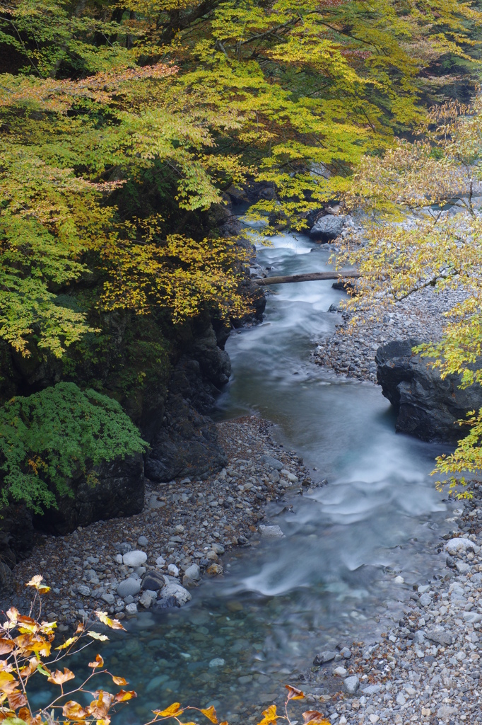 中津川秋景