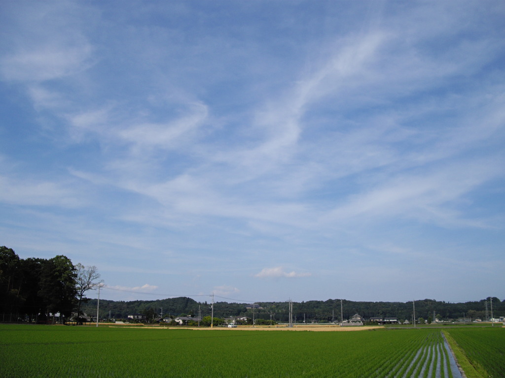 田園