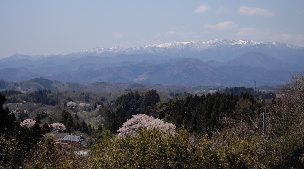 桜の里