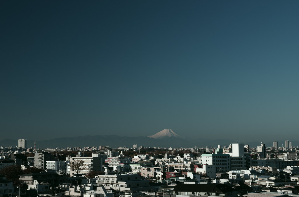 今朝の富士山
