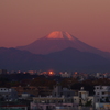 紅に染まる