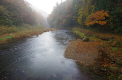 雨上がりの流れ