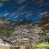 静流桜吹雪