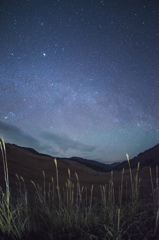 冷たい星降る高原