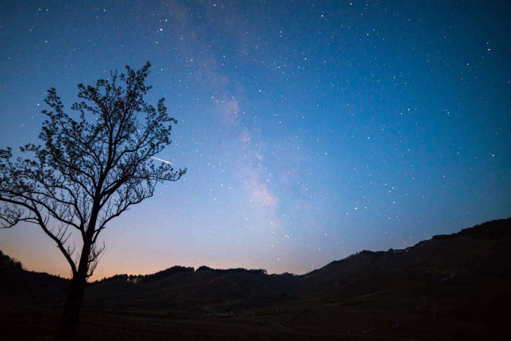 星の雫【水瓶座η流星群】