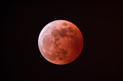 Lunar eclipse　<2014/10/08>