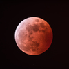 Lunar eclipse　<2014/10/08>
