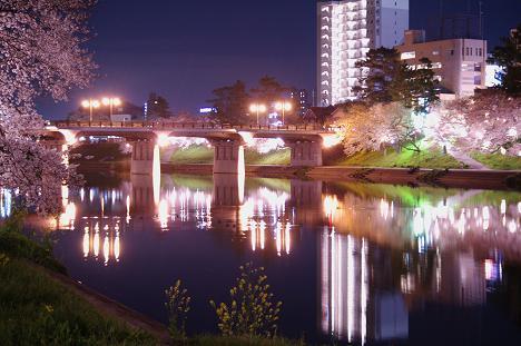 桜的night