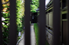 届きそうで届かない