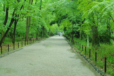 散歩道