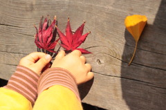 紅葉