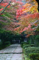 金剛輪寺
