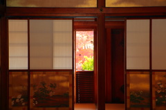 紅葉