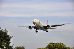 JAL