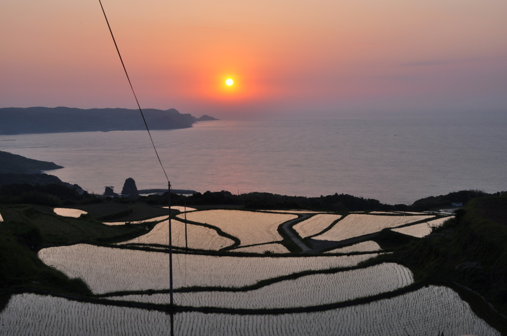 夕日に染まる棚田