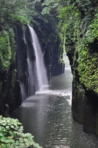 癒しの音