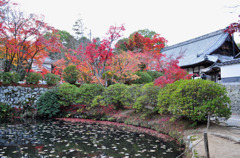 井山宝福寺　秋の庭園*