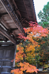 井山宝福寺