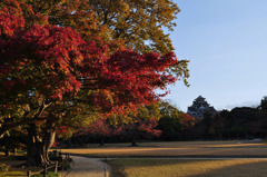 後楽園　紅葉*