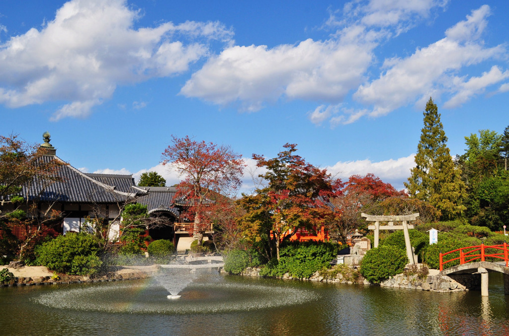 宇賀神社　紅葉*