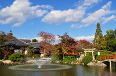 宇賀神社　紅葉*