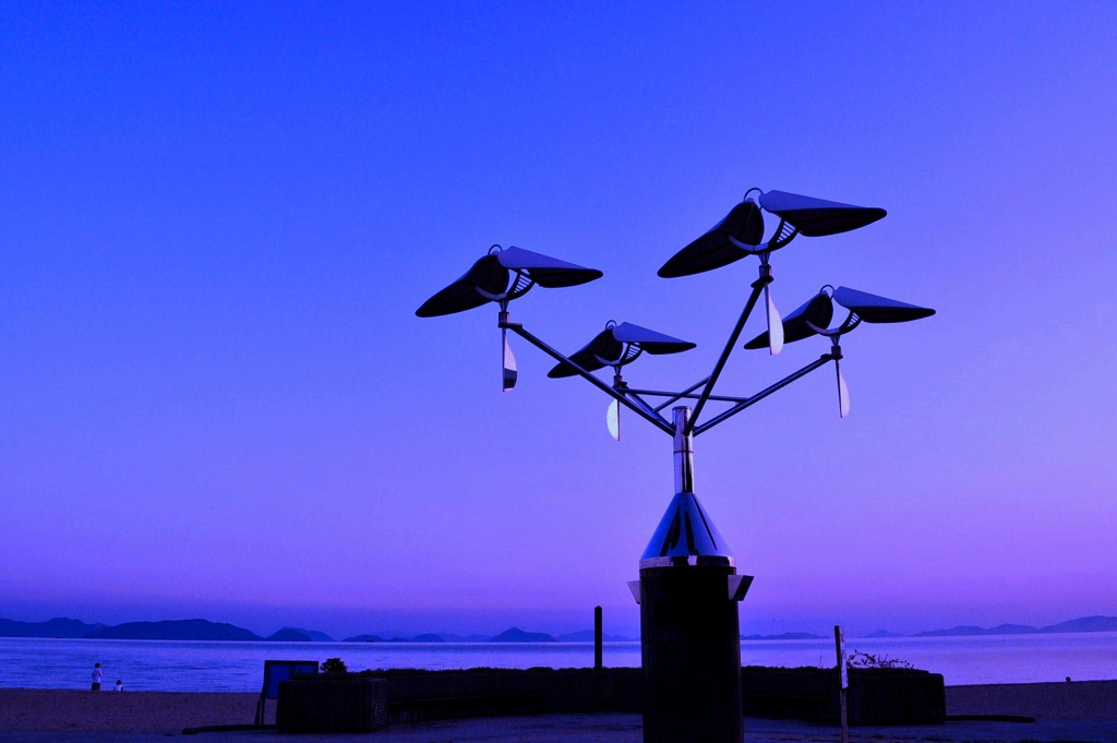 Wing bird*