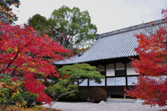 井山宝福寺にて・・・