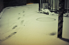 Snow