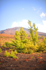 green Fuji