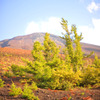 green Fuji