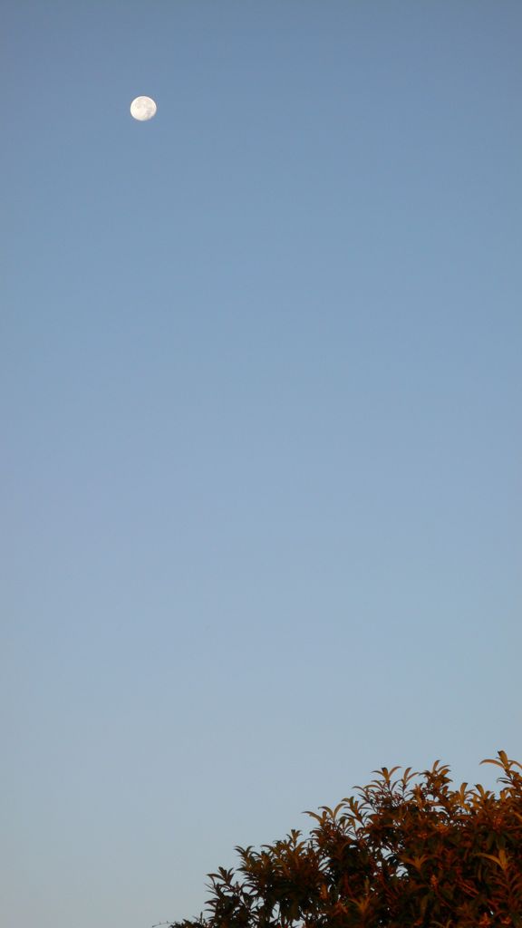 月を撮ってみた