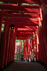 strolled 神社