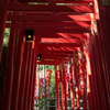 strolled 神社