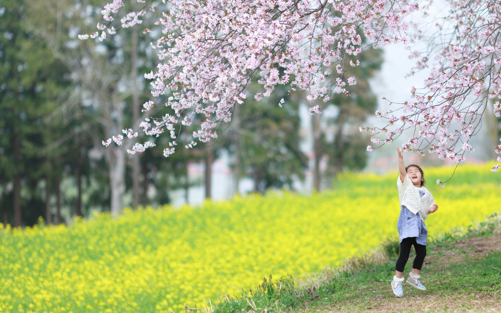 花咲か娘