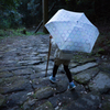 雨坂