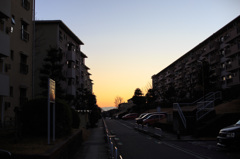 strolled 団地