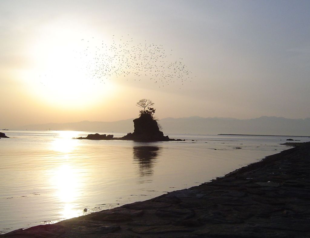 雨晴海岸と朝日と鳥の群れ