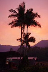 The sunset of my farm
