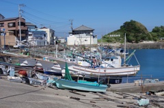 IMGP2608