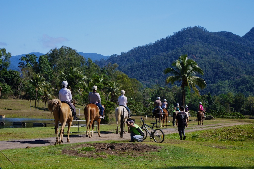 Horse trekking tour